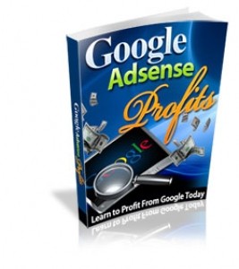 Google AdSense Profits Mrr Ebook