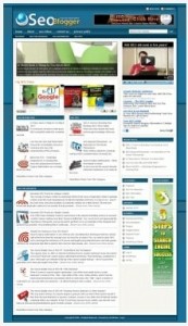 SEO Blog Theme Plr Template