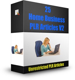 25 Home Business Plr Articles PLR Article