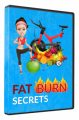 Fat Burn Secrets Pro MRR Video With Audio