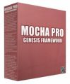 Mocha Pro Genesis Framework WordPress Theme Personal ...