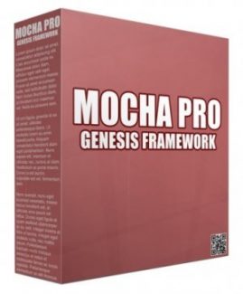 Mocha Pro Genesis Framework WordPress Theme Personal Use Template