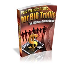 Paid Website Traffic For Big Traffic Resale Rights Ebook
