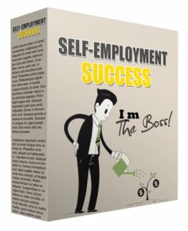 Self Employment Success PLR Audio
