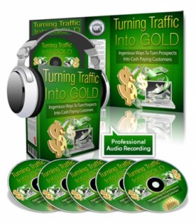 Turning Traffic Into Gold PLR Ebook With Audio