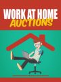 Work At Home Auctions MRR Ebook