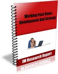 Working From Home Development And Strategy MRR Ebook
