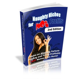 Naughty Niches2 MRR Ebook