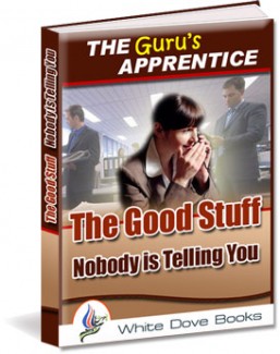 The Good Stuff Nobody IS Telling You Mrr Ebook
