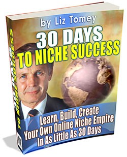 30 Days To Niche Success MRR Ebook