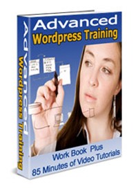 Advanced WordPress Training PLR Video