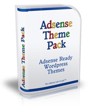 30 Wp Adsense Ready Themes PLR Template