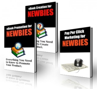 EBook Creation And Promotion For Newbies Plr Ebook