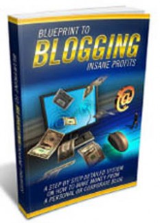 Blueprint To Blogging Insane Profits Personal Use Ebook With Audio