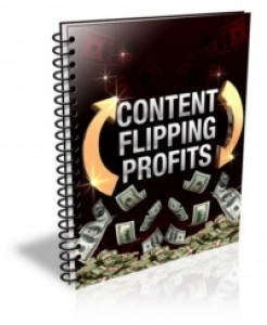Content Flipping Profits Plr Ebook