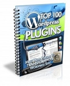 Top 100 WordPress Plugins Give Away Rights Ebook