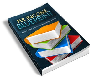 Plr Income Blueprint Resale Rights Ebook