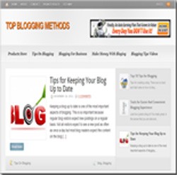 Top Blogging Methods Blog Personal Use Template With Video