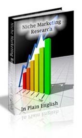 Niche Marketing Research In Plain English Personal Use Ebook