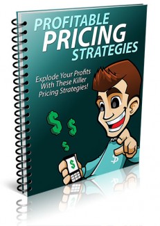 Profitable Pricing Strategies PLR Ebook