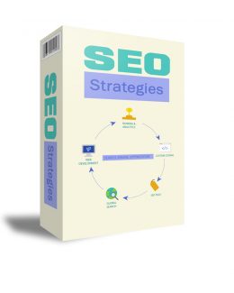 Seo Strategies PLR Ebook