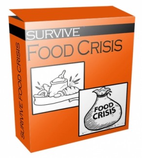 Survive Food Crisis Flipping Niche Blog Personal Use Template
