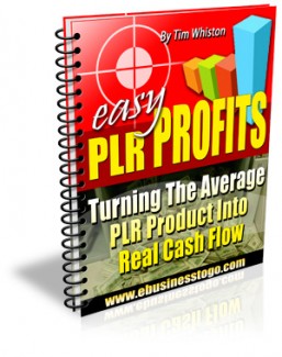 Easy PLR Profits Mrr Ebook