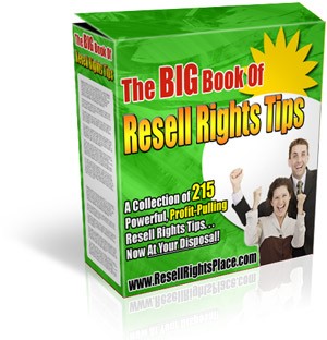 The Big Book Of Resell Rights Tips Resale Rights Ebook