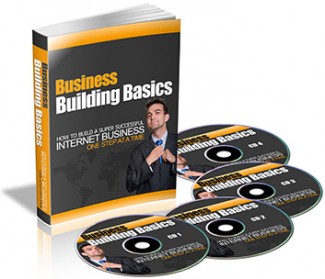 Business Building Basics Plr Ebook With Audio