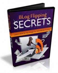 Blog Flipping Secrets Mrr Ebook With Video