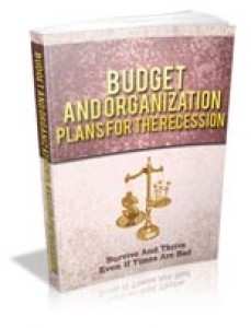 Budget And Organization Plans For The Recession Mrr Ebook
