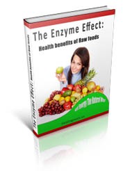 The Enzyme Effect PLR Ebook