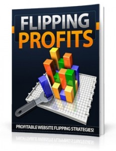 Flipping Profits Mrr Ebook