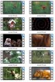 Animals Stock Videos Five V2 MRR Video