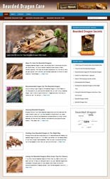 Bearded Dragons Blog Personal Use Template With Video