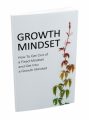 Growth Mindset MRR Ebook With Audio