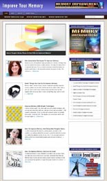 Improve Memory Niche Blog Personal Use Template With Video