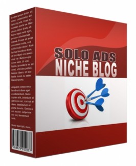 Latest Solo Ads Flipping Niche Blog Personal Use Template