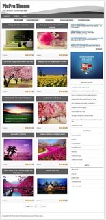 Picpro WordPress Theme Personal Use Template