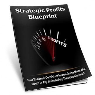 Strategic Profits Blueprint Personal Use Ebook