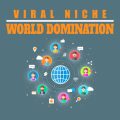 Viral Niche World Domination MRR Audio