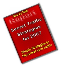 Secret Traffic Strategies PLR Ebook