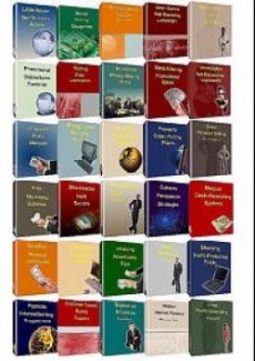 30 Business Books Resale Rights Ebook