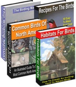 Birding For Everyone Resale Rights Ebook