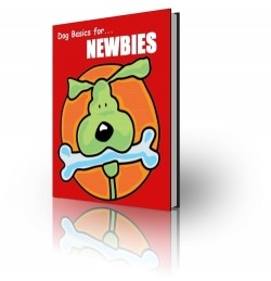 Dog Basics For Newbies PLR Ebook