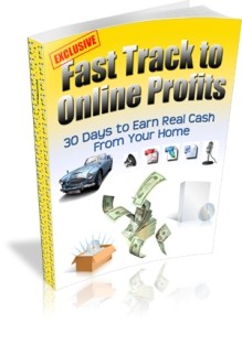 Fast Track To Online Profits MRR Ebook