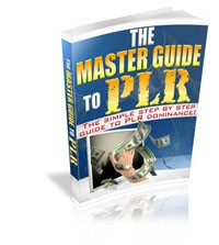 The Master Guide To Plr MRR Ebook