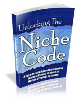Unlocking The Niche Code PLR Ebook
