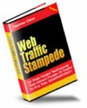 Web Traffic Stampede Personal Use Ebook