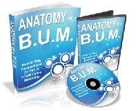 Anatomy Of A Bum PLR Ebook